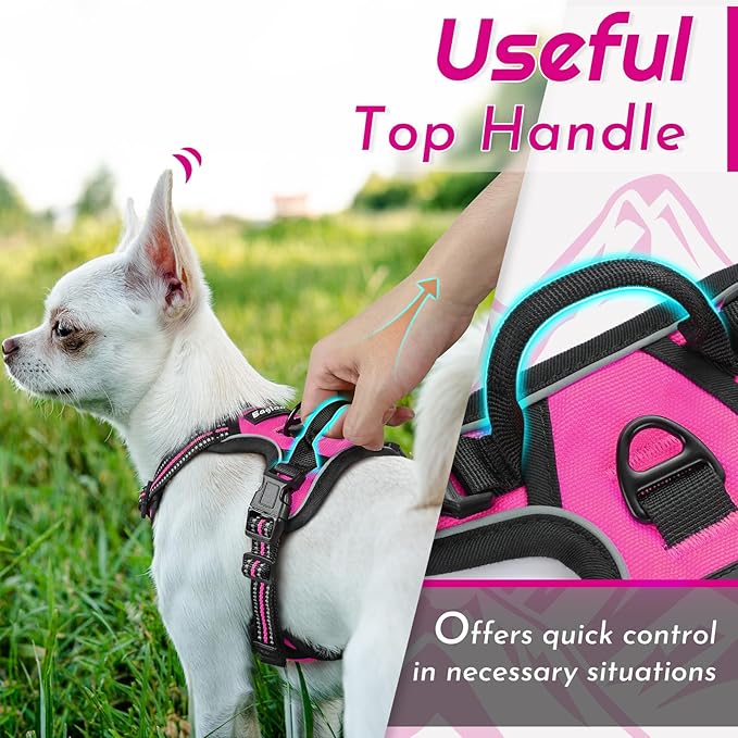 Eagloo Small Dog Harness No Pull, Service Vest with Reflective Strips and Control Handle, Adjustable and Comfortable for Easy Walking, No Choke Pet Harness with 2 Metal Rings, Rose Red, XS-PurrikoPets