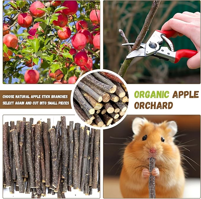 900g/2lb Small Apple Sticks Animals Molar Wood Treats Toys for Rabbits Chinchillas Guinea Pig Hamster Gerbil Parrot Bunny and Small Animals Chew Stick Toys Treats-PurrikoPets
