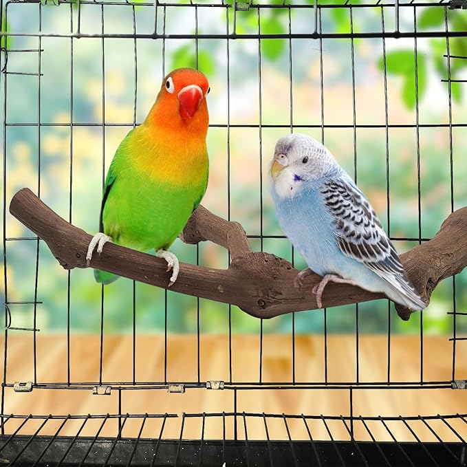 6Pcs Natural Wooden Bird Perch Grape Stick Claw Grinding Fork Bird Perching Branch Claw Grinding Stick Parrot Standing Platform Parrot Cage Chewing Accessories for Parrots Lovebirds Parakeets-PurrikoPets