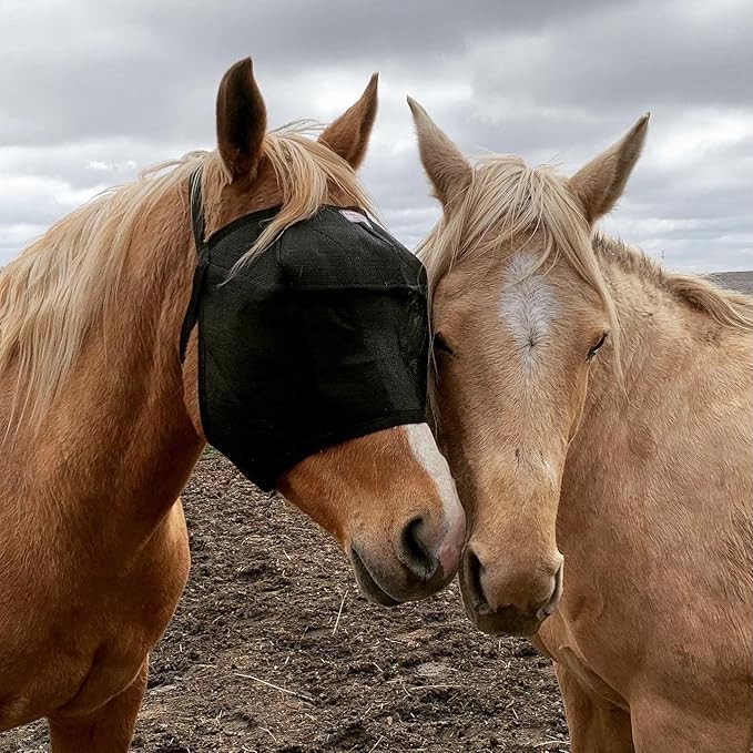 EquiVizor 95% UV Eye Protection (Mini) Standard Horse Fly Mask - Help with Uveitis, Corneal Ulcer, Light Sensitivity. Designed to Stay On Your Horse, Off The Ground.-PurrikoPets