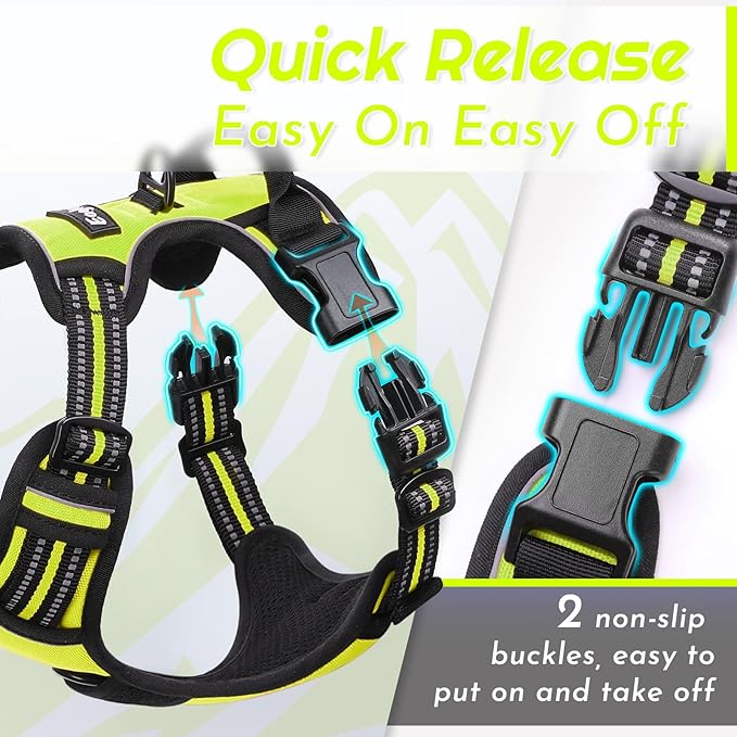 Eagloo Dog Harness Small Sized Dog, No Pull Service Vest with Reflective Strips and Control Handle, Adjustable and Comfortable for Walking, No Choke Pet Harness with 2 Metal Rings, Green, S-PurrikoPets