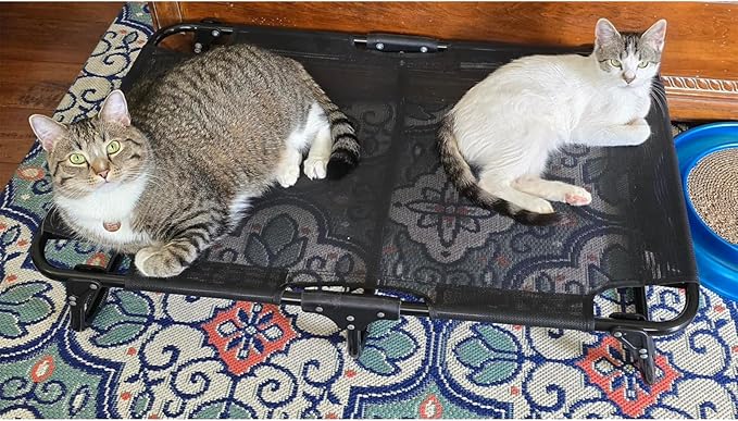 Elevated Dog Bed, Foldable Raised Dogs Bed Outdoor Dog Cots Beds for Large Dogs Cooling Outside Camping Chew-Proof No Assembly Need, Black-PurrikoPets