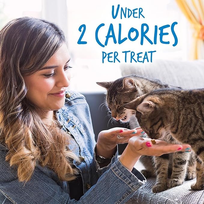 Fruitables Crunchy Low Calorie Treats Packed with Protein For Cats Healthy Free of Wheat, Corn and Soy – Made with Real Chicken with Blueberry – 2.5 Ounces-PurrikoPets