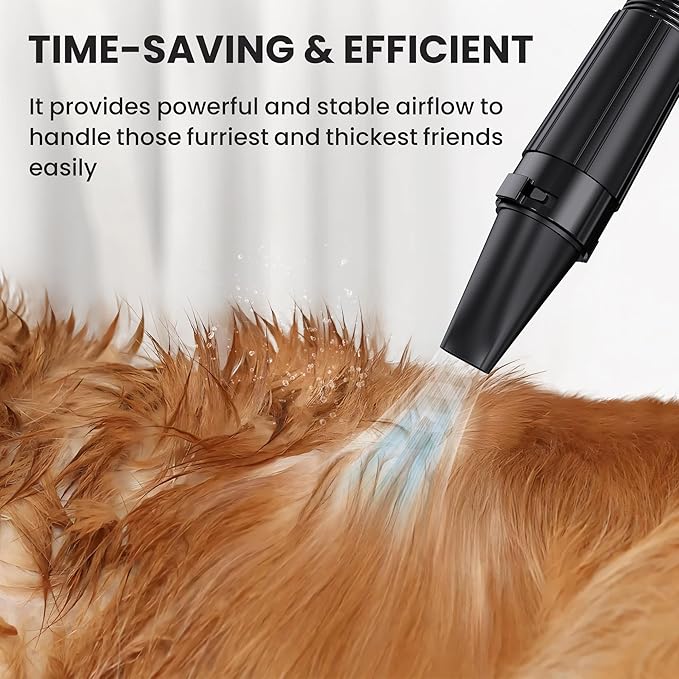 Flying Pig Double Motor High Performance Dog Pet Grooming Dryer -Magenta-PurrikoPets