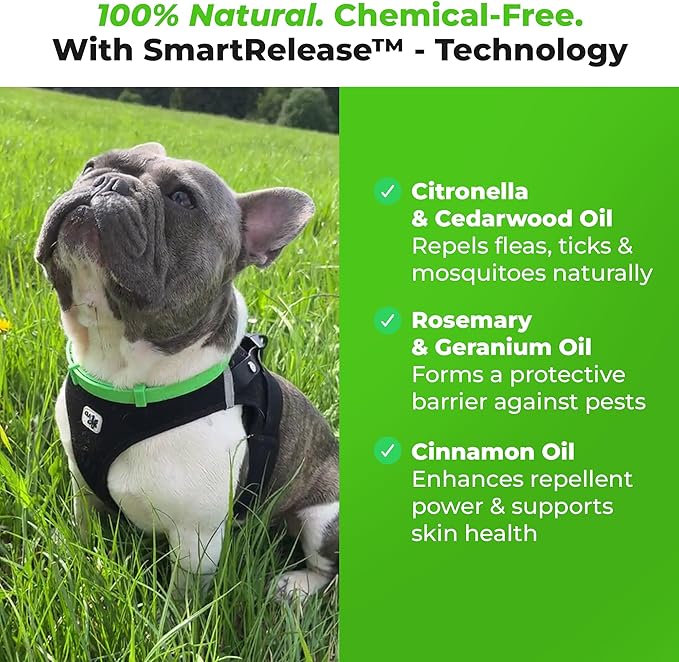 FurLife Flea and Tick Collar for Dogs – Waterproof Green Dog Collar, Pet Supplies for Tick and Flea Prevention for Dogs, Safe for All Breeds-PurrikoPets