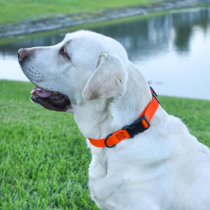 Dogline Biothane Waterproof Dog Collar with Quick Release Buckle Strong Coated Nylon Webbing with Odor- Proof for Easy Care Easy to Clean Fits Small Medium or Large Dogs, Orange 3/4" W 12-19" L-PurrikoPets