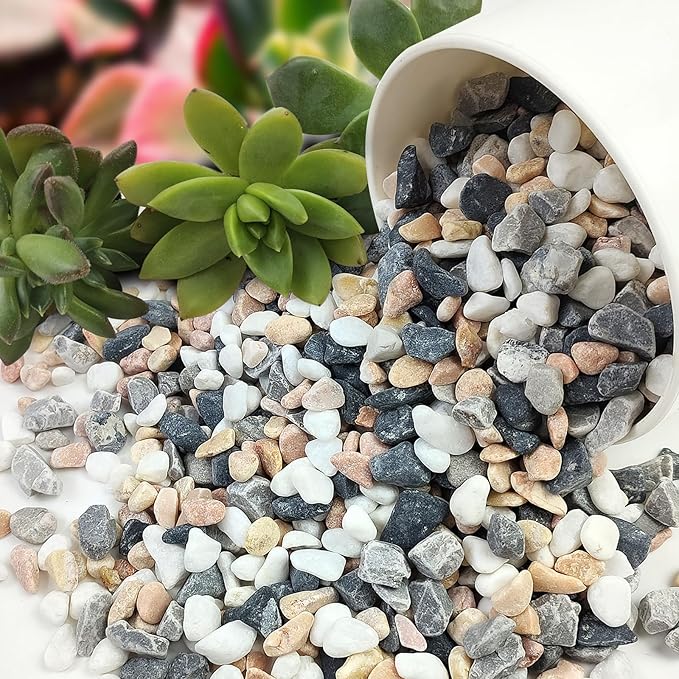 5 lbs Succulent and Cactus Pebbles for Indoor Plants, 3/8 Inch Pea Gravel Decorative River Rocks for Plants, Vases, Terrarium, Aquarium, Potted Top Dressing and Outdoor Landscaping Stones-PurrikoPets