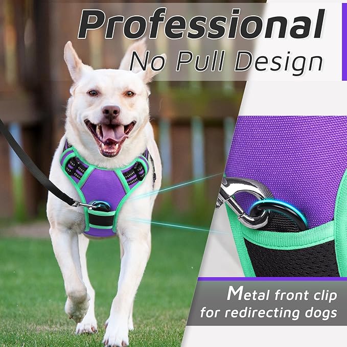 Eagloo Dog Harness Small Sized Dog, No Pull Service Vest with Reflective Strips and Control Handle, Adjustable and Comfortable for Walking, No Choke Pet Harness with 2 Metal Rings, Purple & Green, S-PurrikoPets
