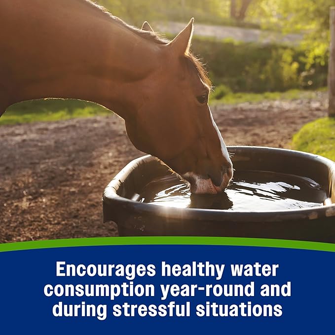 Farnam Apple Elite Electrolyte Supplement for Horses, Replaces Vital Minerals, Encourages Hydration, No Added Sugar, 7.5 lb, 40 Day Supply-PurrikoPets