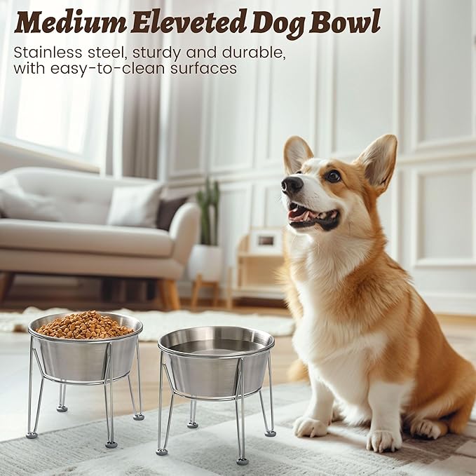 Elevated Dog Bowls for Medium&Small Dogs - Stainless Steel 48oz/6 Cups Raised Feeder with Non-Slip Base, Dual Food & Water Bowls 2-Pack-PurrikoPets