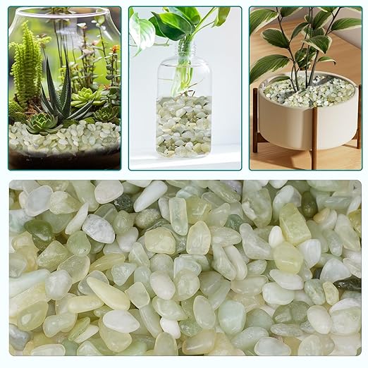 2.5 lbs Jade Pebbles for Indoor Plants, 1/5 Inch Succulent and Cactus Pebbles, Decorative Gravel for Vases, Bamboo,Terrarium, Crafts, Cactus-PurrikoPets