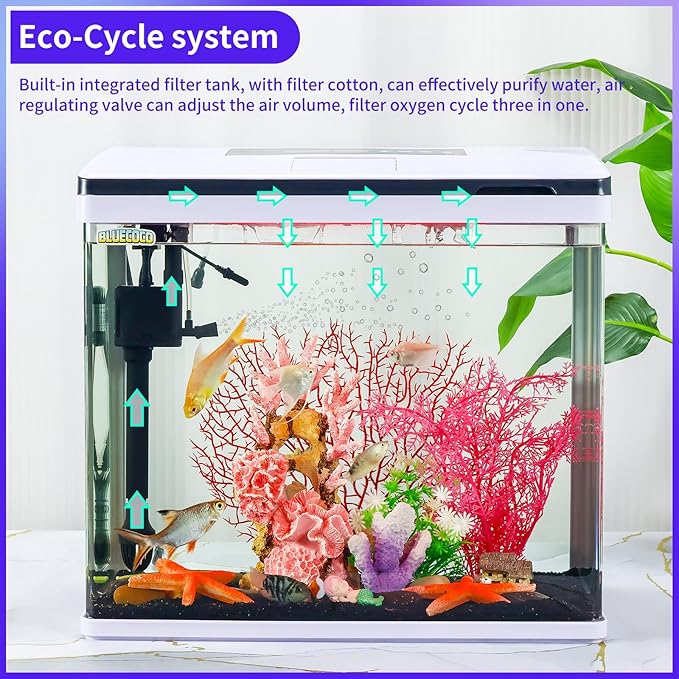 Glass Aquarium Fish Tank Starter Kit with Temperature and Time Display for Betta Fish Featuring Crystal Clear 360° Viewing, Eco-Cycle Filtration, Air Pump 12 Gallon-PurrikoPets