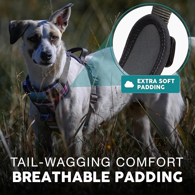 Embark Adventure Dog Harness, Reflective Trim No Pull Dog Harnesses for Small Sized Dogs - Military Grade Nylon, Front Clip with Gel Lined Handle. Soft & Padded Puppy-PurrikoPets