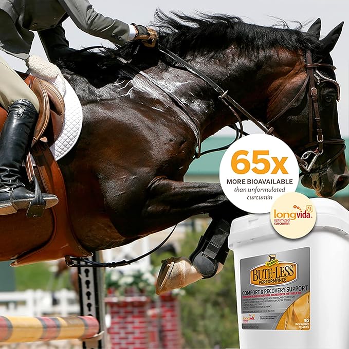 Absorbine Bute-Less Performance Advanced Formula Horse Supplement Pellets, Supports Healthy Inflammatory Response & GI Tract, 3.75lb Tub / 30 Day Supply-PurrikoPets