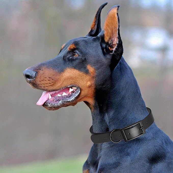 Dogline Biothane Waterproof Dog Collar Strong Coated Nylon Webbing with Black Hardware Odor- Proof for Easy Care Easy to Clean High Performance Fits Small Medium or Large Dogs, Black-PurrikoPets