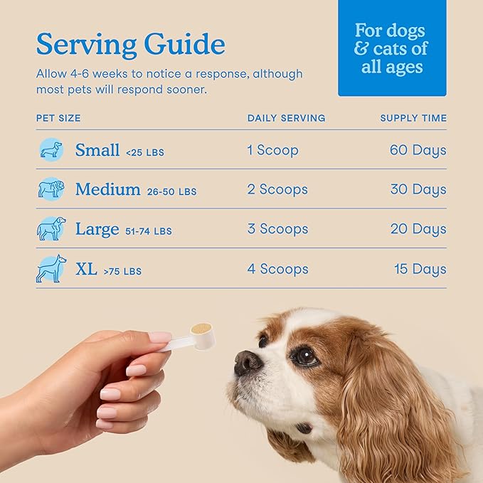 Fera Pets Cat & Dog Dental Support Powder - Supports Fresh Breath - Promotes Healthy Teeth and Gums - Targets Tartar Build-Up - Includes Kelp, Enzymes & Postbiotics - 60 Scoops-PurrikoPets