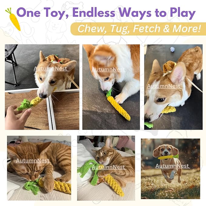3PCS Yellow Woven Pet Chew Set, Puppy Teething Chews, Dog Chew Accessories, Cat Interactive Chews, Durable Braided Chews for Pets-PurrikoPets