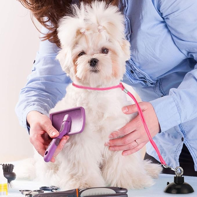 Frienda 4 Pieces Dog Bathing Tether with Suction Cup Pet Dog Grooming Tub Restraint Loops and Adjustable Cat Fixed Safety Rope for Pet Shower Bathing Grooming(Blue Black Pink)-PurrikoPets