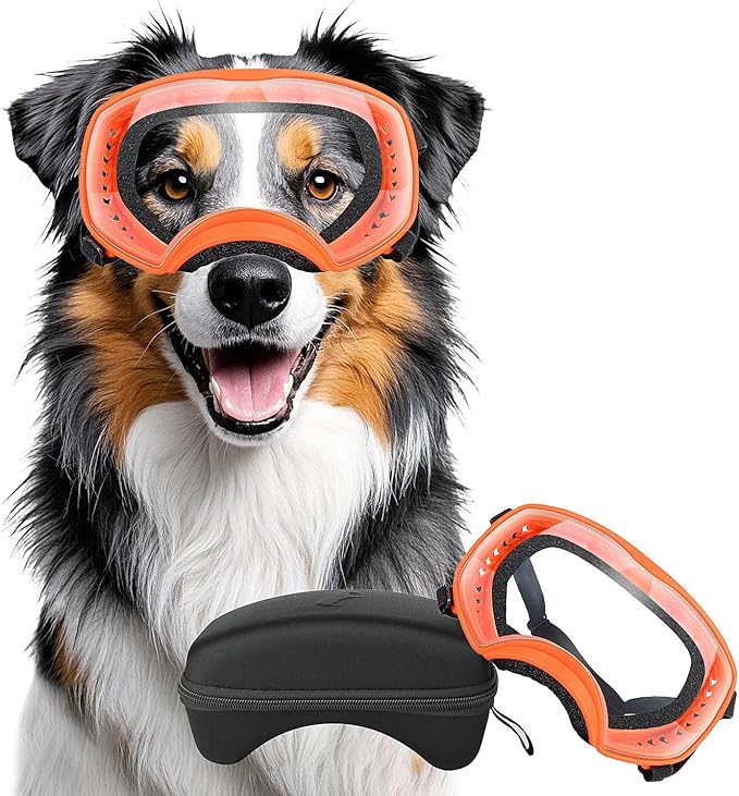 Dog Sunglasses UV Protection Clear Dog Goggles Windproof Glasses with Elastic Straps for Medium-Large Breed, Orange Frame + Clear Lens-PurrikoPets