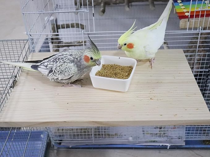 21.7 × 13.8 Inches Large Bird Perch Stand Platform, Natural Wooden Small Animals Cage Accessories, Rectangle Stand Perch Shelf for Parrot Parakeet Cockatiel Rat Hamster Guinea Pig Conure Chinchillas-PurrikoPets