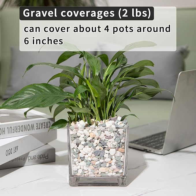 2lb Succulent and Cactus Gravel Pebbles 1/5-3/8 Inch Natural Decorative Polished Stones River Rocks for Plants, Vases, Aquariums, Terrarium and Outdoor Gardening, Mixed Color-PurrikoPets