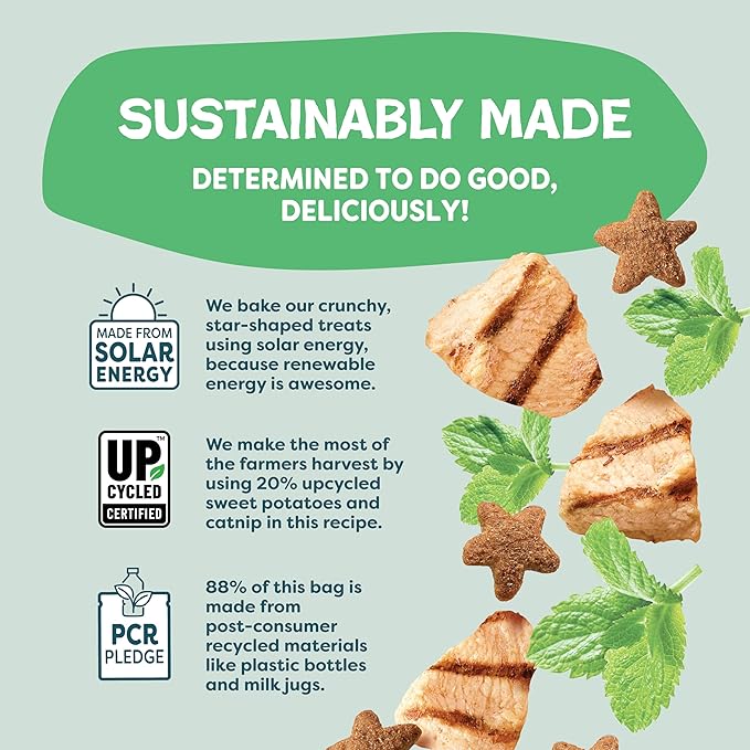 Shameless Pets Digestive Health Catnip Chicken Crunchy Cat Treats-PurrikoPets