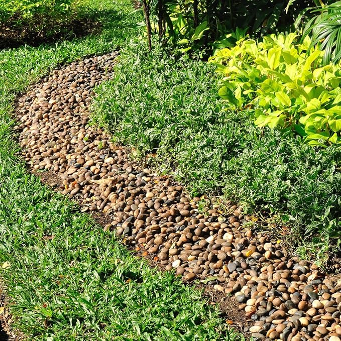 10lbs Aquarium Rocks, 5/8" Natural River Rocks for Plants Decorative Polished Mixed Pebbles for Fish Tank, Landscaping, Gardening, Flower Pots, Vase Fillers, Indoor Water Fountains-PurrikoPets