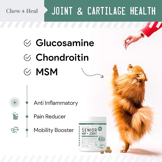 Glucosamine for Dogs Hip and Joint Supplement - 120 Soft Chews for Senior Dogs with Glucosamine, Chondroitin, MSM, Vitamin C, and Omegas - for Mobility, Cartilage, and Joint Health-PurrikoPets