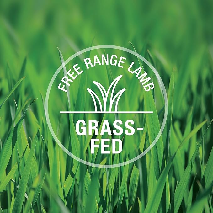 Feline Natural New Zealand Canned Catfood Wet Food, High-Meat, Low-Carb, & Grain Free Cat Food Wet, Lamb Feast, 3 oz, Pack of 24-PurrikoPets