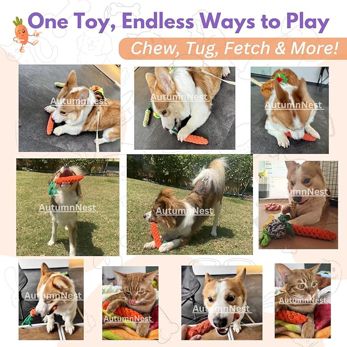 3PCS Orange Woven Pet Chew Set, Puppy Teething Chews, Dog Chew Treats, Cat Teething Playset, Safe Braided Chews for Pets, Durable & Interactive-PurrikoPets