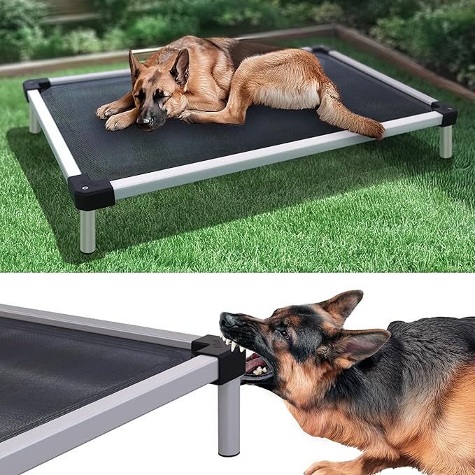 FXW TitanNest Chew-Proof Elevated Dog Bed, Raised Cot for Indoor/Outdoor/Camping Use, Durable & Waterproof Cooling Pet Bed for Large Dogs, 50.0" L x 31.0" W x 7.3" H, Black-PurrikoPets