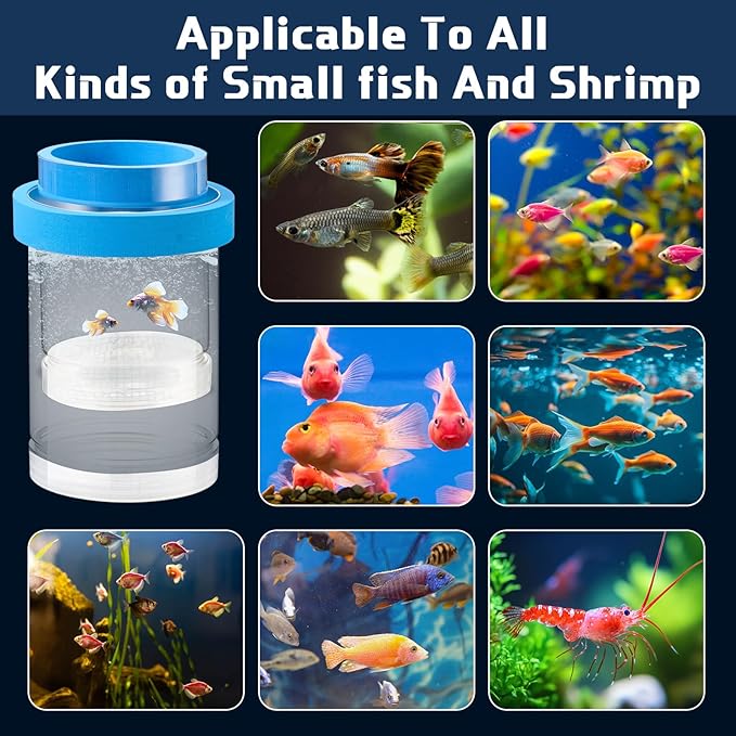 2 Pcs Breeder Box for Fish Tank Aquarium Breeder Separation Net Breeding Box with Suction Cup for Small Fish Shrimp Clownfish Guppy-PurrikoPets