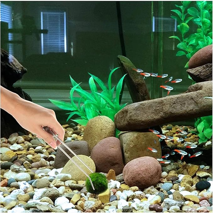 3 in 1 Aquarium Aquascape Tools Kit Long Stainless Steel Aquarium Tank Aquatic Plant Tweezers Scissors Tools-PurrikoPets