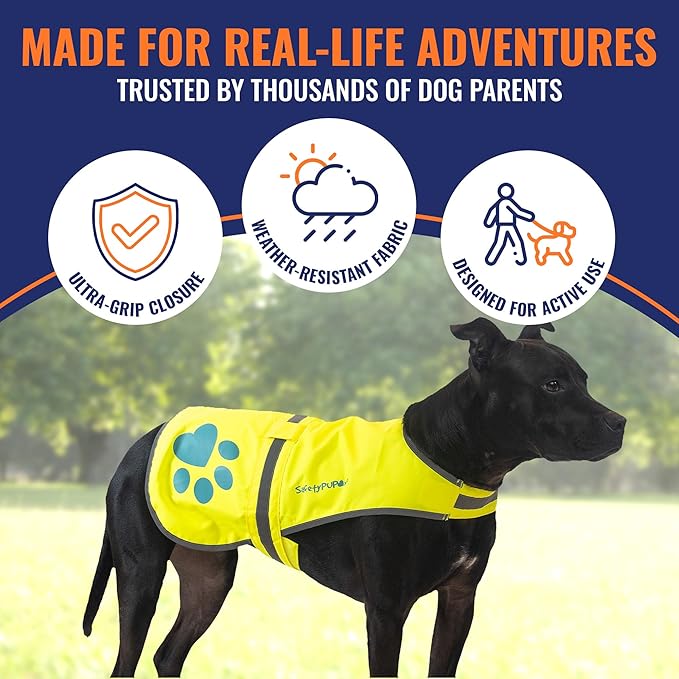 Dog Reflective Vest – Hi-Vis Fluorescent Visibility That Helps to Safeguard Your Pet On/Off Leash in Urban & Rural Areas (Yellow, Medium)-PurrikoPets