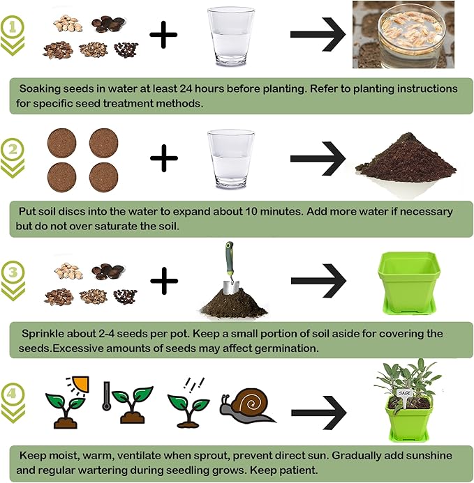 10 Herb Seeds Garden Starter Grow Kit with Green Pots, Markers, Nutritional Soil, Watering, Herb Clipper, Complete Indoor Potted Plant Growing Set for Kitchen DIY-PurrikoPets