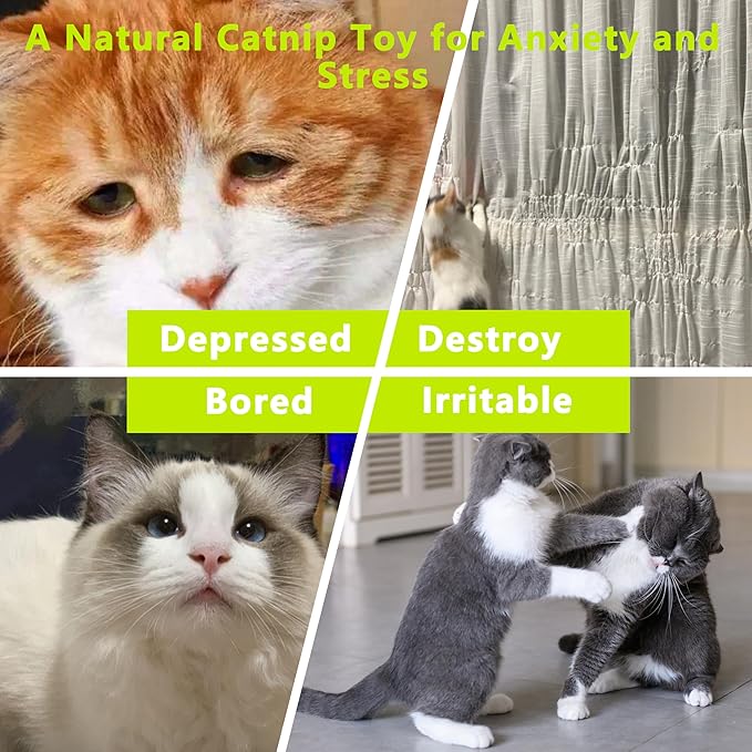 1 Pack Catnip Toys, Soft Cat Pillows Toys, Kitten Caterpillar Catnip Toys,Indoor Interactive Cat Kicker Toys for All Age Cat-PurrikoPets