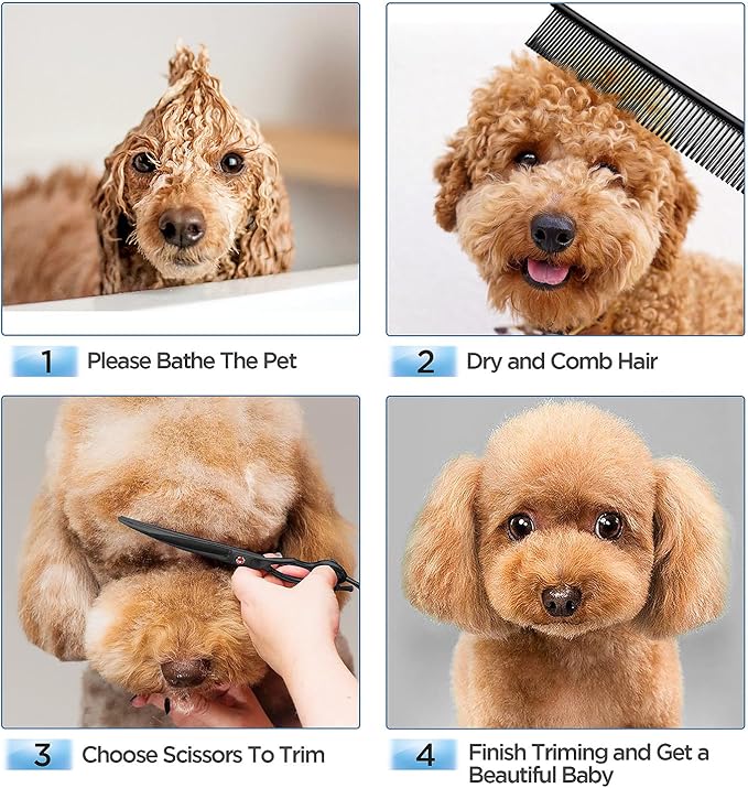 Gimars 7.0in Professional 4CR Stainless Steel Safety Round Tip 6 in 1 Dog Grooming Scissors Heavy Duty Titanium Coated Pet Grooming Scissor for Dogs, Cats and Other Animals-PurrikoPets