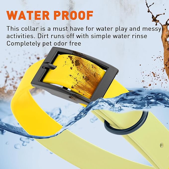 Dogline Biothane Waterproof Dog Collar Strong Coated Nylon Webbing with Black Hardware Odor- Proof for Easy Care Easy to Clean High Performance Fits Small Medium or Large Dogs, Lemon Yellow-PurrikoPets