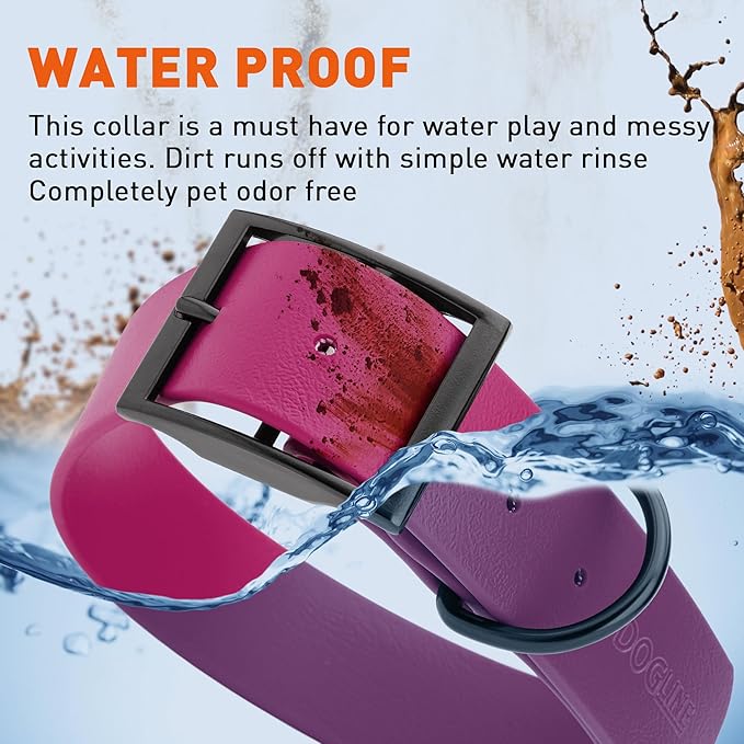 Dogline Biothane Waterproof Dog Collar Strong Coated Nylon Webbing with Black Hardware Odor- Proof for Easy Care Easy to Clean High Performance Fits Small Medium or Large Dogs, Magenta Pink-PurrikoPets