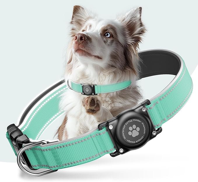 Airtag Dog Collar - 100% Waterproof Air tag Dog Collar Holder for Apple AirTag, Reflective, Soft Padded, Everlasting, GPS Dog Collar for Small Medium Large Dogs (Teal, L)-PurrikoPets