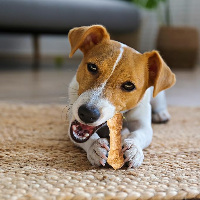 Fieldcrest Farms Nothin' to Hide 3 inch Ultra Knotted Bone Treats - Natural Rawhide Alternative Treats for Dogs, Collagen Based Snack for Heavy Chewers up to 15lbs - Chicken Flavor, 12 Pack-PurrikoPets