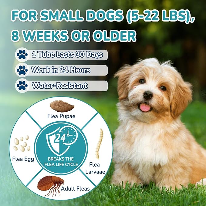 Flea and Tick Prevention for Small Dogs, 6-Month Supply Dog Flea and Tick Treatment Drops, Topical Fast-Acting Dog Flea Treatment for Small Dogs Up to 5 to 22 lbs-PurrikoPets