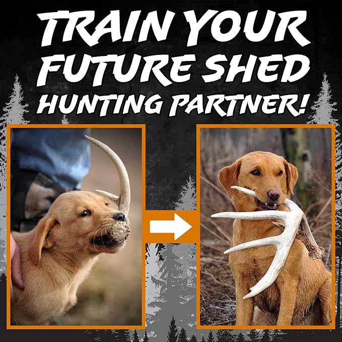 DogBone Shed Hunting Dog Training Kit – Train Your Puppy to Find Deer Antlers - Includes 2 oz Scent for Nosework & Flexible Floating Dummy for Retrieving - Perfect for Whitetail Hunters-PurrikoPets