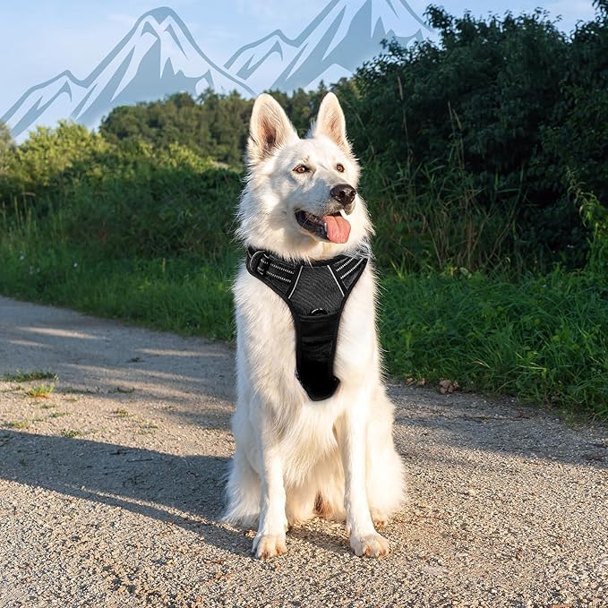Eagloo Dog Harness for Large Dogs, No Pull Service Vest with Reflective Strips and Control Handle, Adjustable and Comfortable for Walking, No Choke Pet Harness with 2 Metal Rings, Black, XL-PurrikoPets