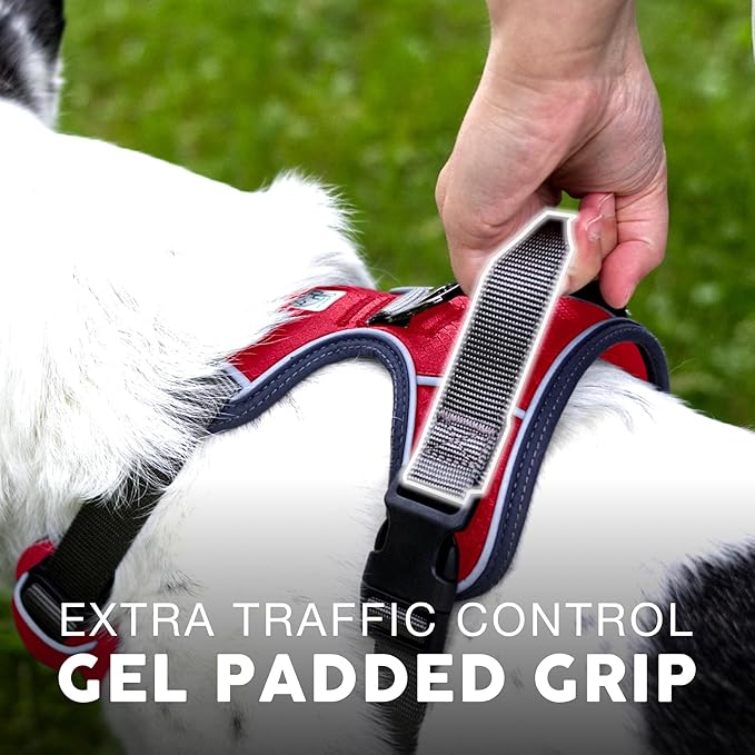 Embark Adventure Dog Harness, Reflective Trim No Pull Dog Harnesses for Small Sized Dogs - Military Grade Nylon, Front Clip with Gel Lined Handle.-PurrikoPets