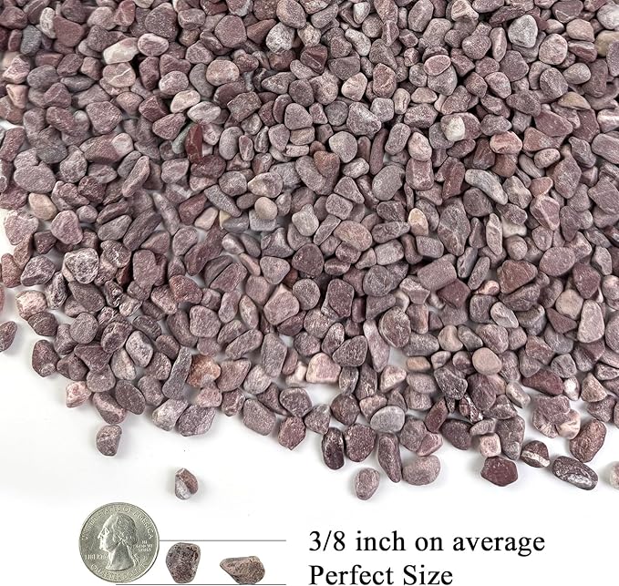 2 lbs Succulent and Cactus Pebbles Gravel, 3/8 Inch Decorative Red River Rocks for Plants Indoor, Vases, Terrarium, Potted Top Dressing and Outdoor Decorative Stones-PurrikoPets