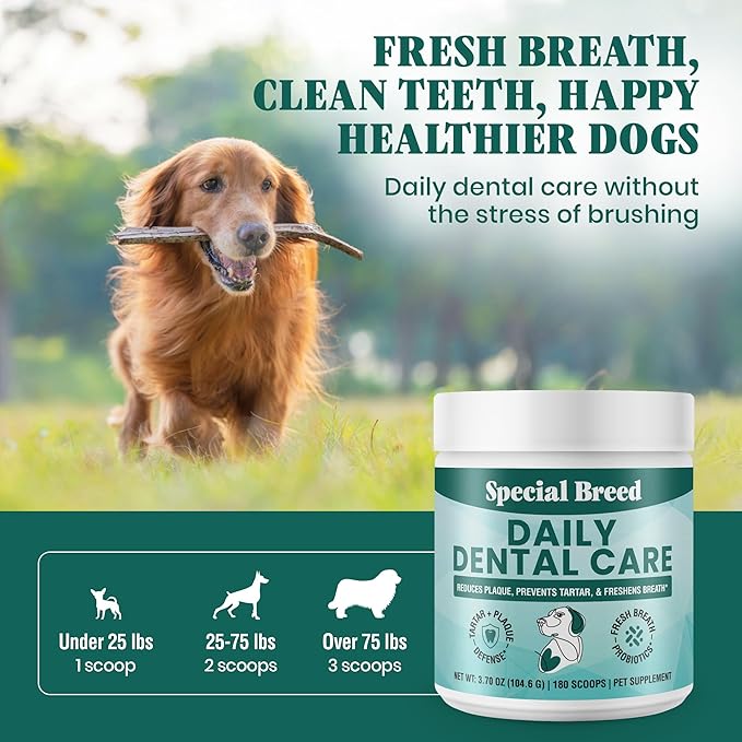 Dog Teeth Cleaning Powder – Natural Dog Dental Powder for Tartar Control, Fresh Breath & Gum Health – Daily Plaque Remover with Zeolite, Brown Algae, Probiotics & Rosemary – 180 Scoops-PurrikoPets