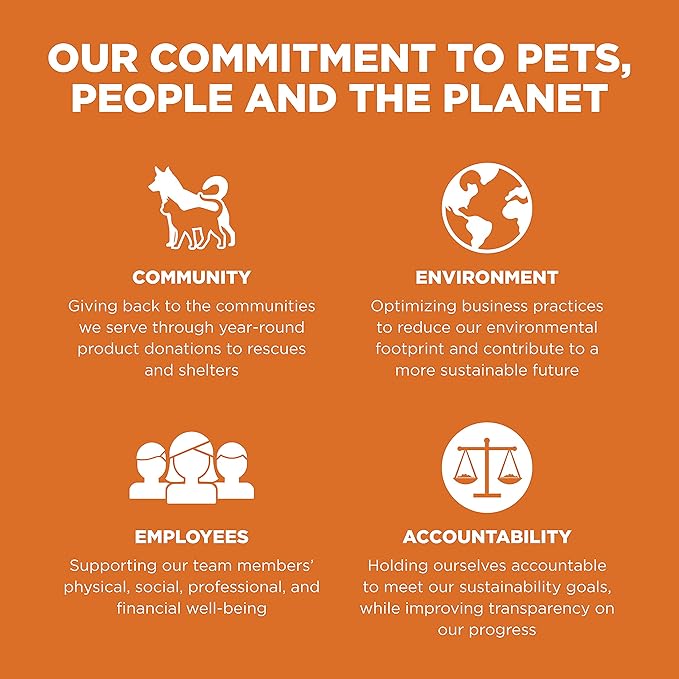 Go! Solutions Skin + Coat Care, Grain-Free Dry Cat Food, Salmon Recipe, 8 lb Bag-PurrikoPets