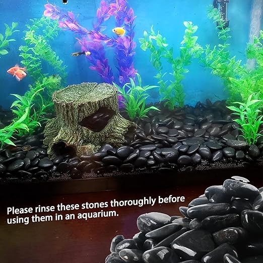 8LB 1"-2" Black River Rocks for Plants, Polished Pebbles for Garden Landscaping, Planters, Aquariums, Vase Fillers – Indoor & Outdoor Decor-PurrikoPets