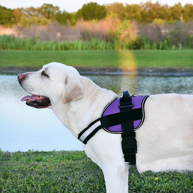 Dogline Dog Harness, Reflective No-Pull Adjustable Vest with Handle for Walking, Training, Breathable, No - Choke Harness for Small, Medium or Large Dogs Room for Patches Girth 33"-46" in Purple-PurrikoPets